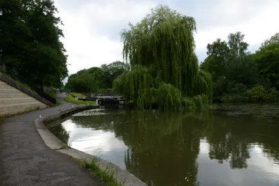 DSC_2711 (Large).JPG